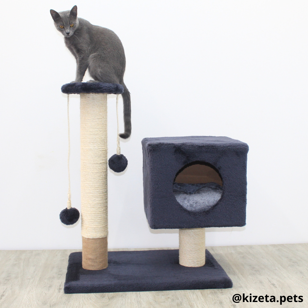 RASCADOR GYM PARA GATO MODELO TORRE + CAMA (45X60X75CM)