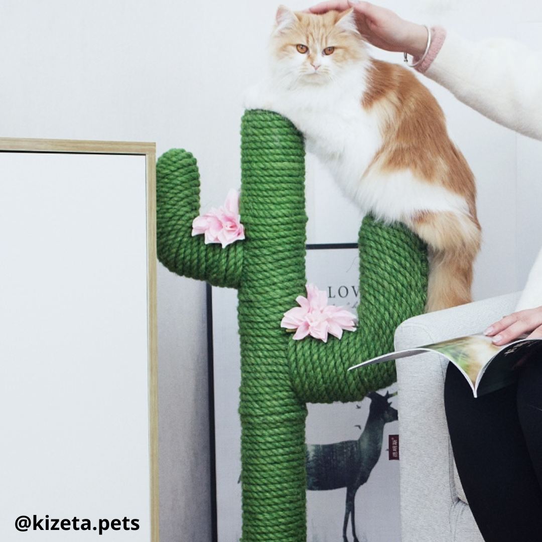 RASCADOR TIPO CACTUS (50X58X105CM)