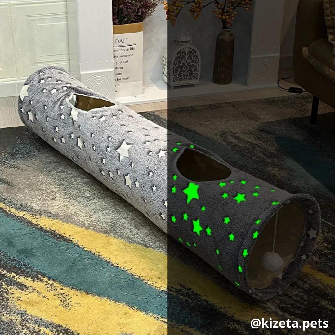 KIT 21 JUGUETES CON TÚNEL FOTOLUMINISCENTE