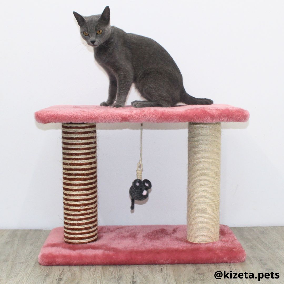 RASCADOR PARA GATO MODELO DOBLE TORRE TIPO CAMA (60x25x45CM)