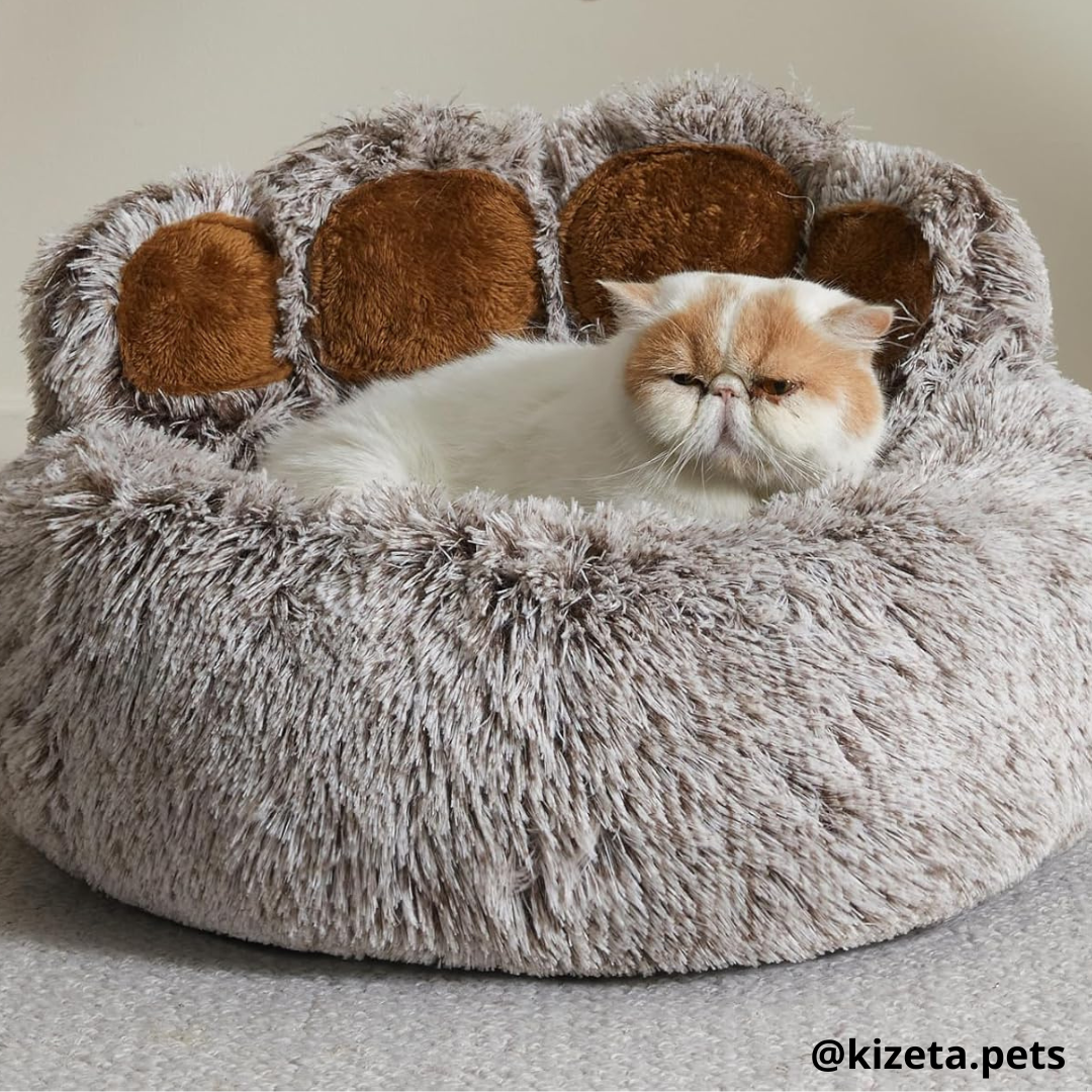 CAMA ANTIANSIEDAD EN FORMA HUELLA DE OSO PARA GATOS (S 70CM DE DIÁMETRO)