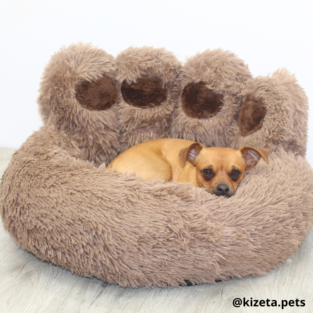 CAMA ANTIANSIEDAD 100% LAVABLE EN FORMA HUELLA DE OSO PARA PERROS O GATOS