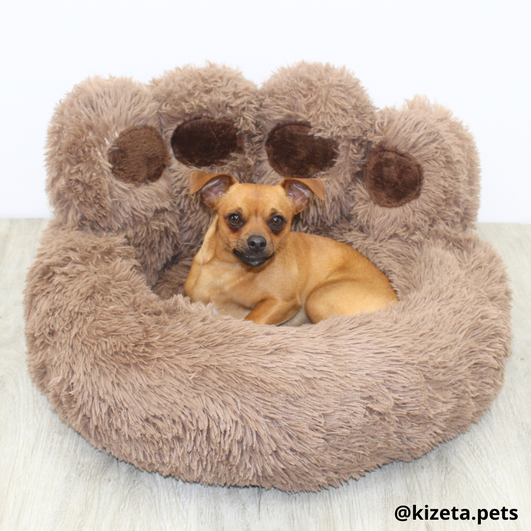 CAMA ANTIANSIEDAD 100% LAVABLE EN FORMA HUELLA DE OSO PARA PERROS O GATOS
