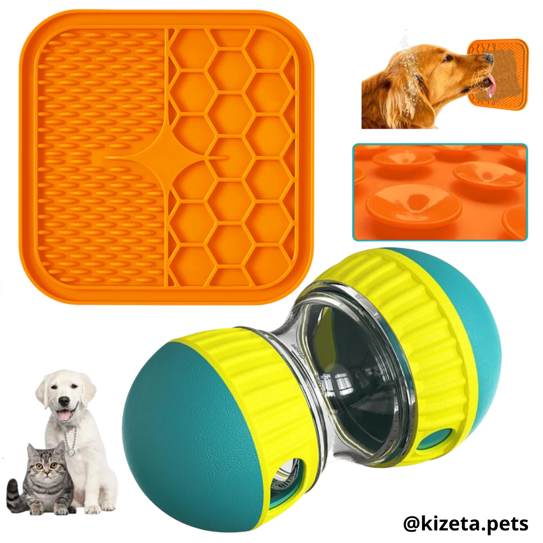 KIT JUGUETES INTERACTIVOS SENCILLOS