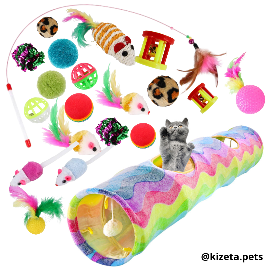 KIT 21 JUGUETES CON TÚNEL ARCOIRIS