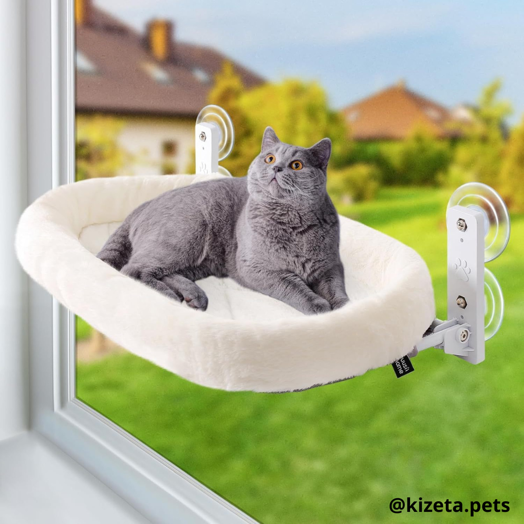 HAMACA DE VENTANA PARA GATOS MODELO CIRCULAR (60X30CM)