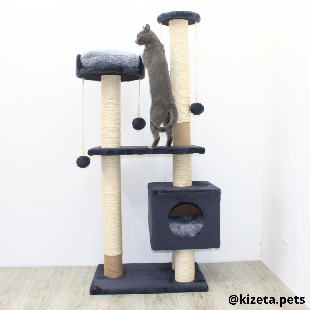 RASCADOR GYM PARA GATO MODELO VENECIA EXTRAGRANDE 2 CAMAS + 6 TORRES COLOR GRAFITO (60x45x146CM)