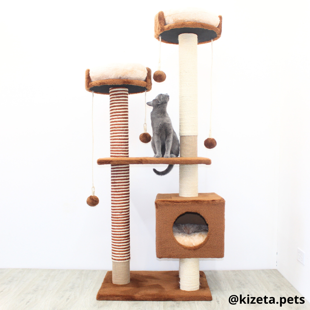 RASCADOR GYM PARA GATO MODELO MÓNACO EXTRAGRANDE 3 CAMAS + 6 TORRES COLOR CAFÉ (60x45x156CM)