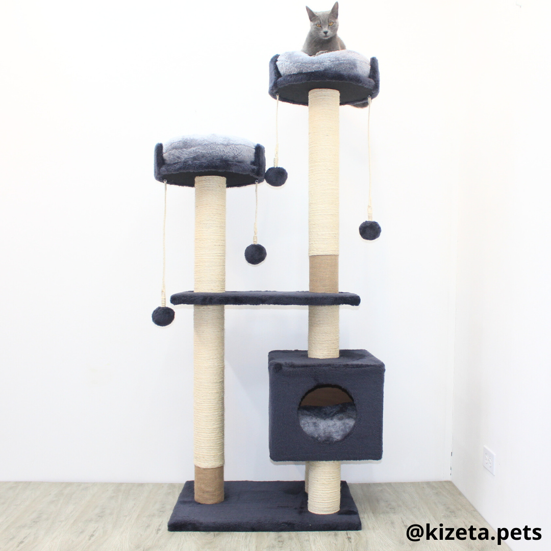 RASCADOR GYM PARA GATO MODELO MÓNACO EXTRAGRANDE 3 CAMAS + 6 TORRES COLOR GRAFITO (60x45x156CM)
