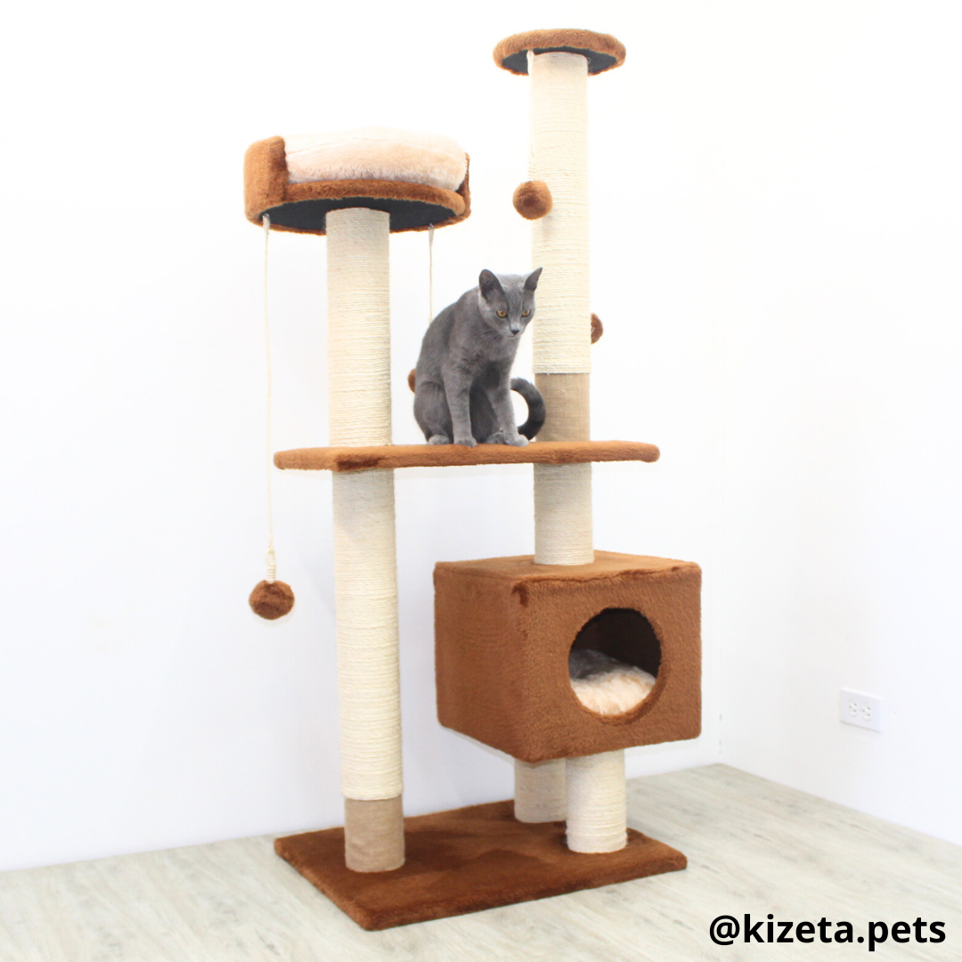 RASCADOR GYM PARA GATO MODELO VENECIA EXTRAGRANDE 2 CAMAS + 6 TORRES (60x45x146CM)