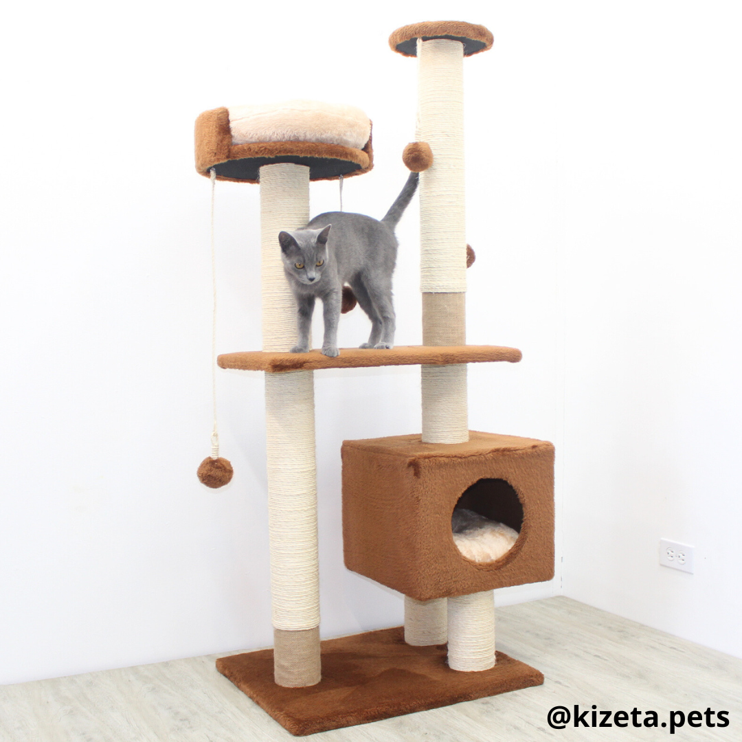 RASCADOR GYM PARA GATO MODELO VENECIA EXTRAGRANDE 2 CAMAS + 6 TORRES COLOR CAFÉ (60x45x146CM)