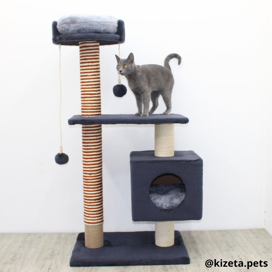 RASCADOR GYM PARA GATO MODELO EDIFICIO 2DA GENERACIÓN CON DOS CAMAS (60x45x124CM)