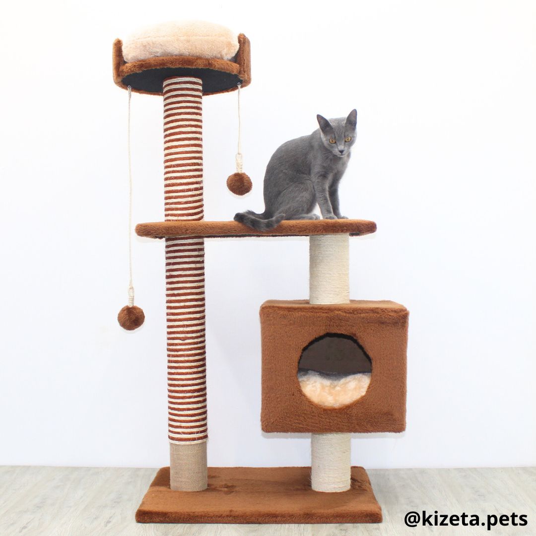 RASCADOR GYM PARA GATO MODELO EDIFICIO 2DA GENERACIÓN CON DOS CAMAS (60x45x124CM)