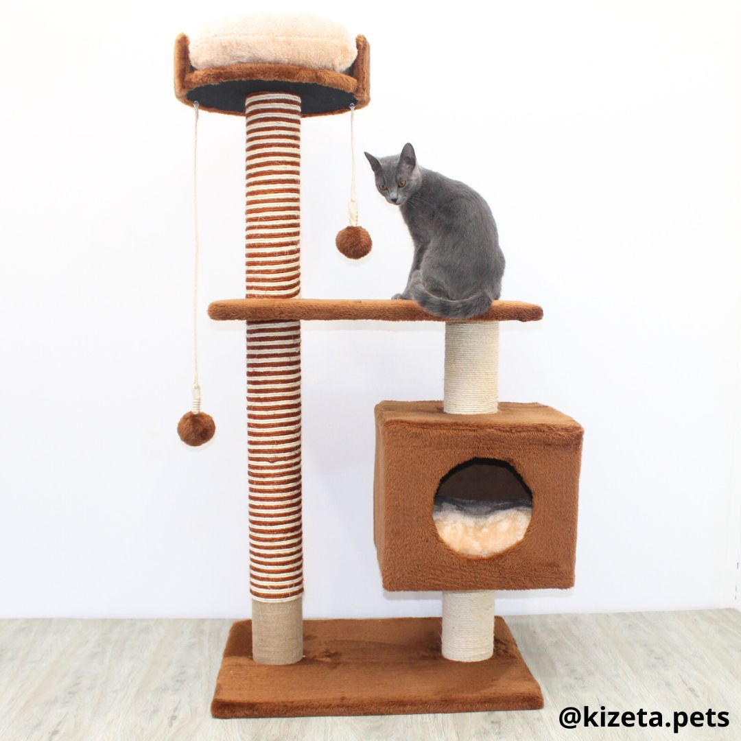 RASCADOR GYM PARA GATO MODELO EDIFICIO 2DA GENERACIÓN CON DOS CAMAS (60x45x124CM)