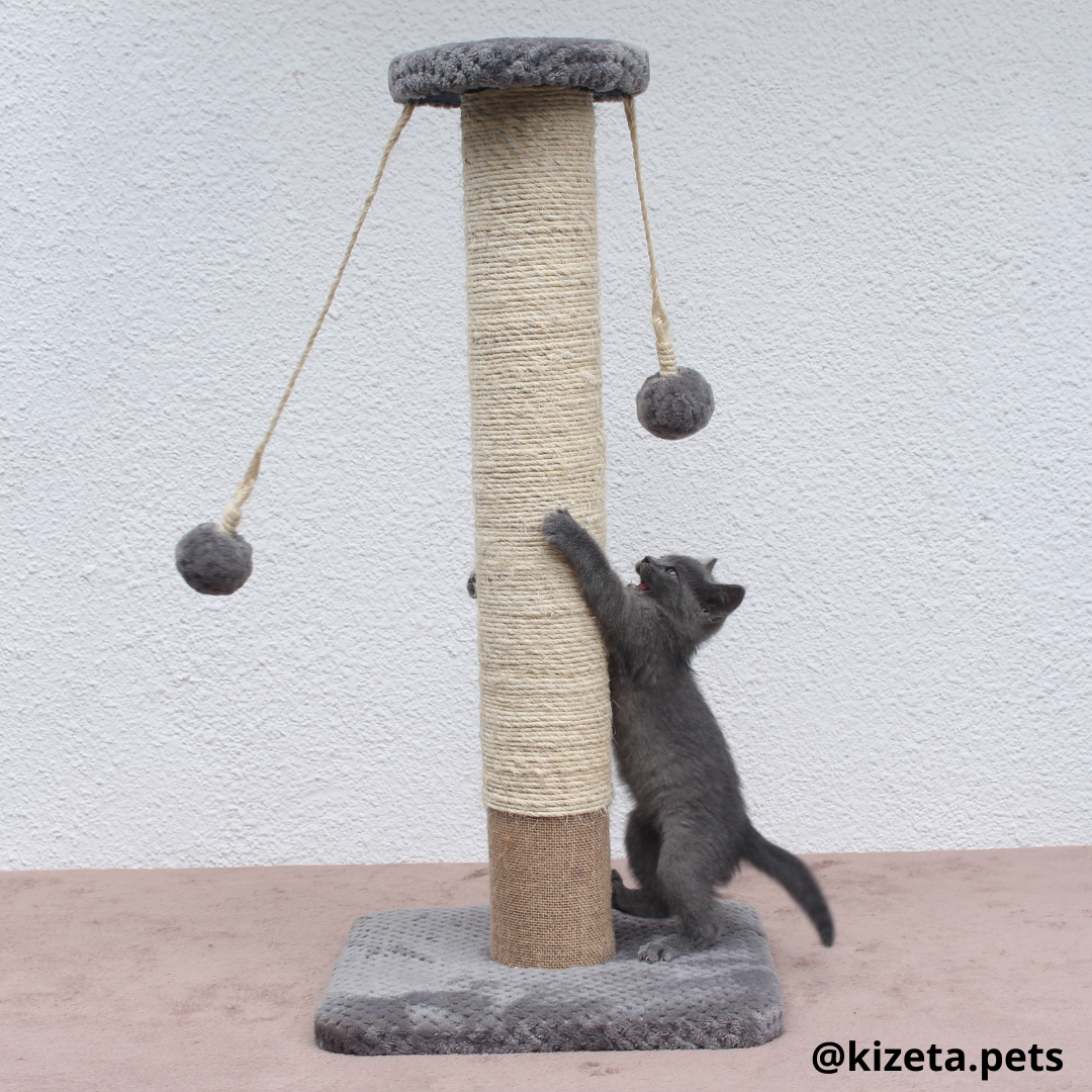 RASCADOR GYM PARA GATO TIPO TORRE (37x37x75CM)