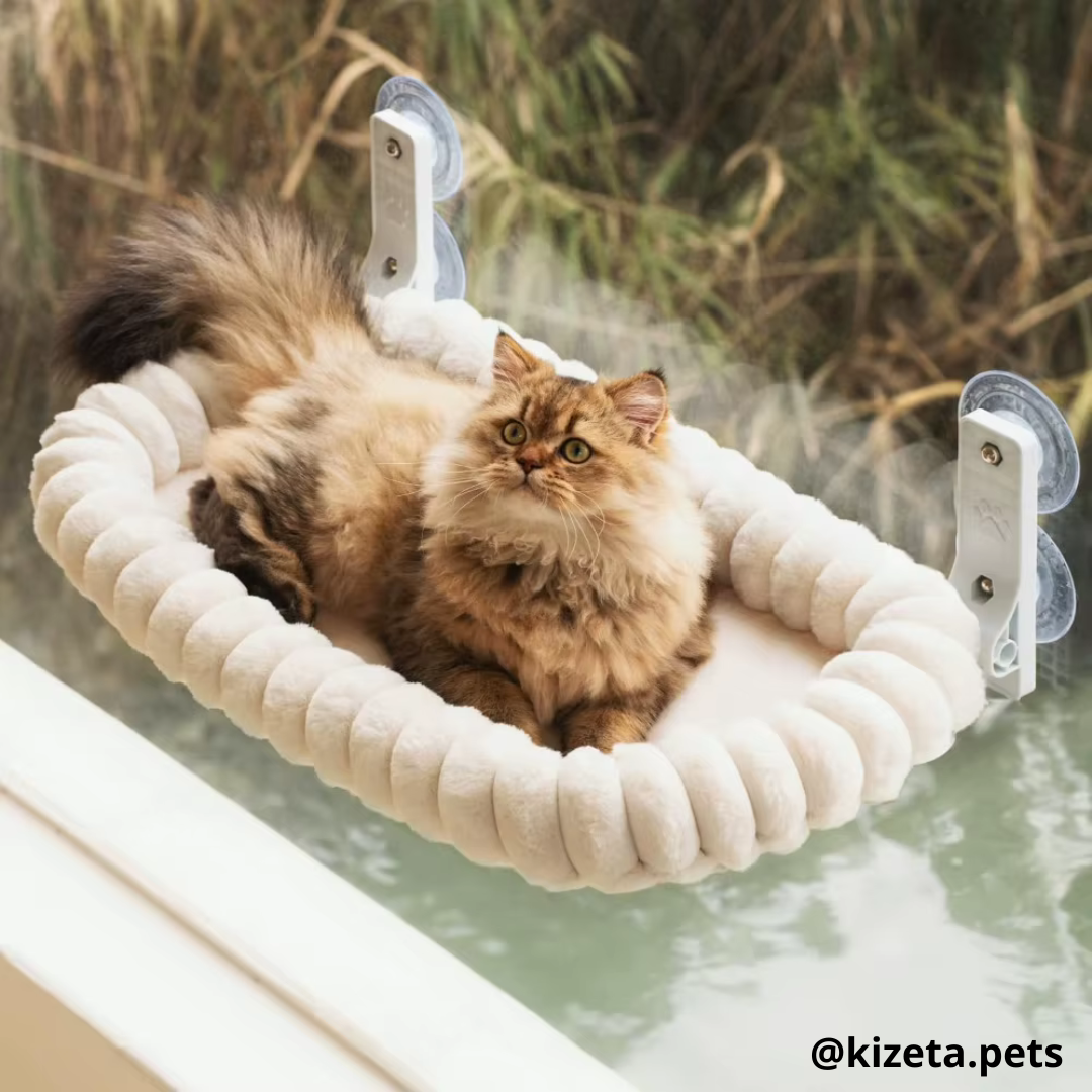 HAMACA DE VENTANA PARA GATOS MODELO DELUXE (60X30CM)