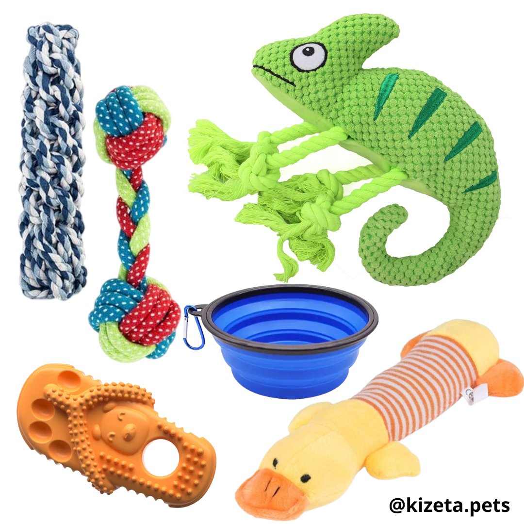 KIT DE 6 JUGUETES (CAMALEÓN 2)