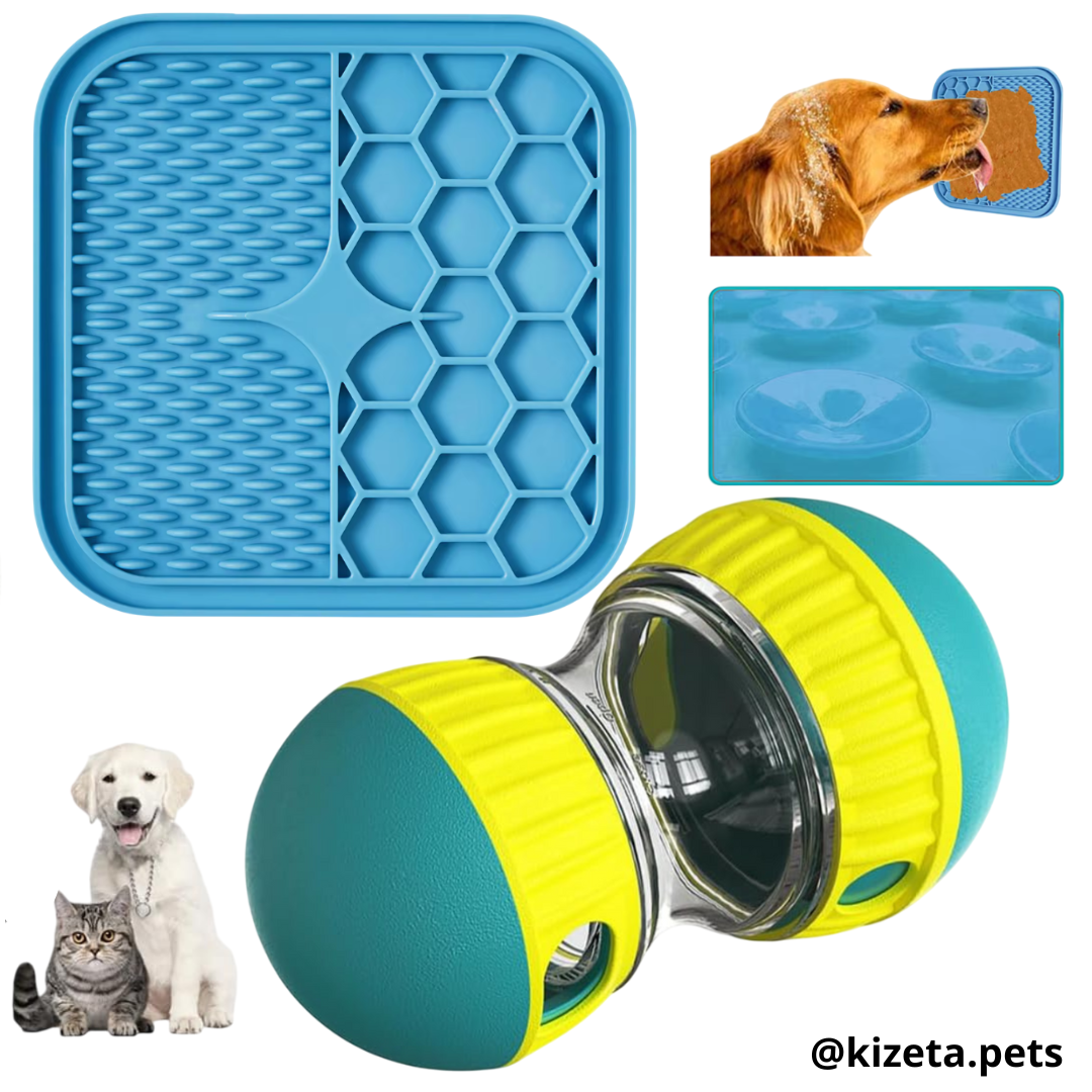 KIT JUGUETES INTERACTIVOS SENCILLOS