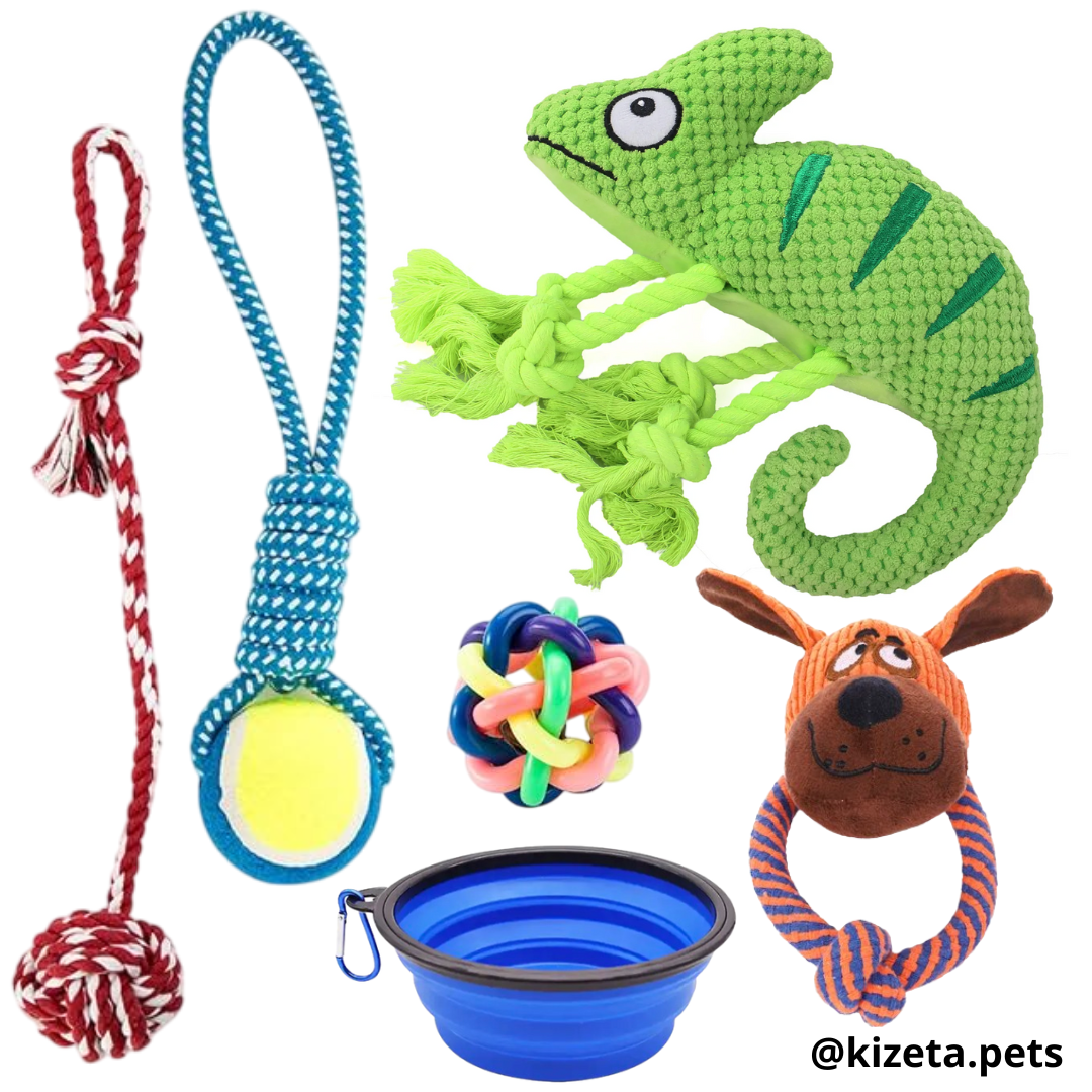 KIT DE 6 JUGUETES (CAMALEÓN 1)