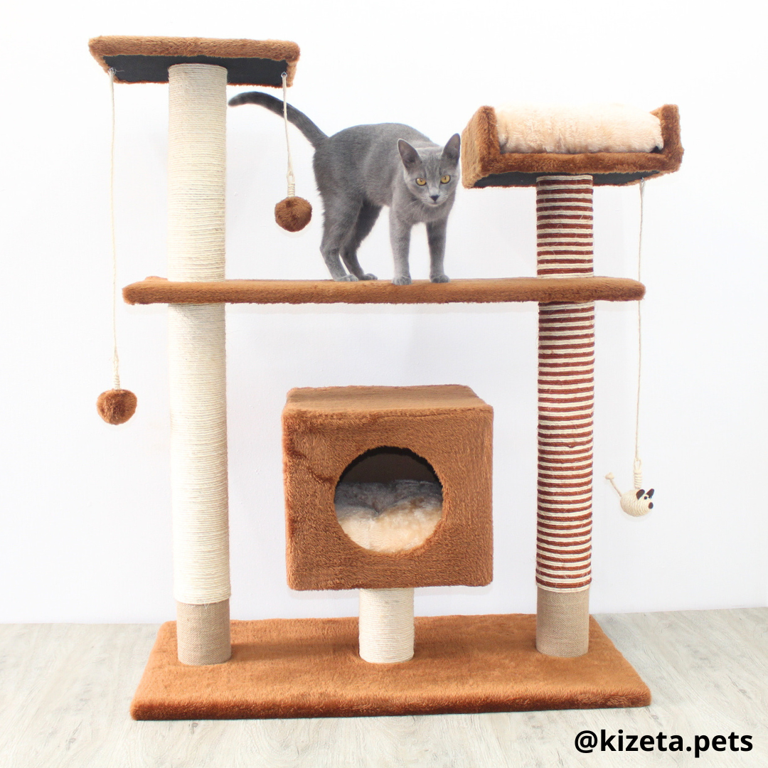 RASCADOR GYM PARA GATO MODELO PRAGA EXTRAGRANDE 2 CAMAS + 5 TORRES (90x45x116CM)