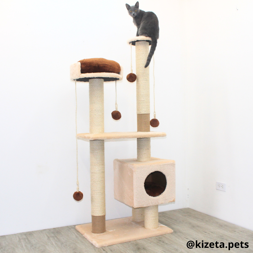 RASCADOR GYM PARA GATO MODELO VENECIA EXTRAGRANDE 2 CAMAS + 6 TORRES (60x45x146CM)