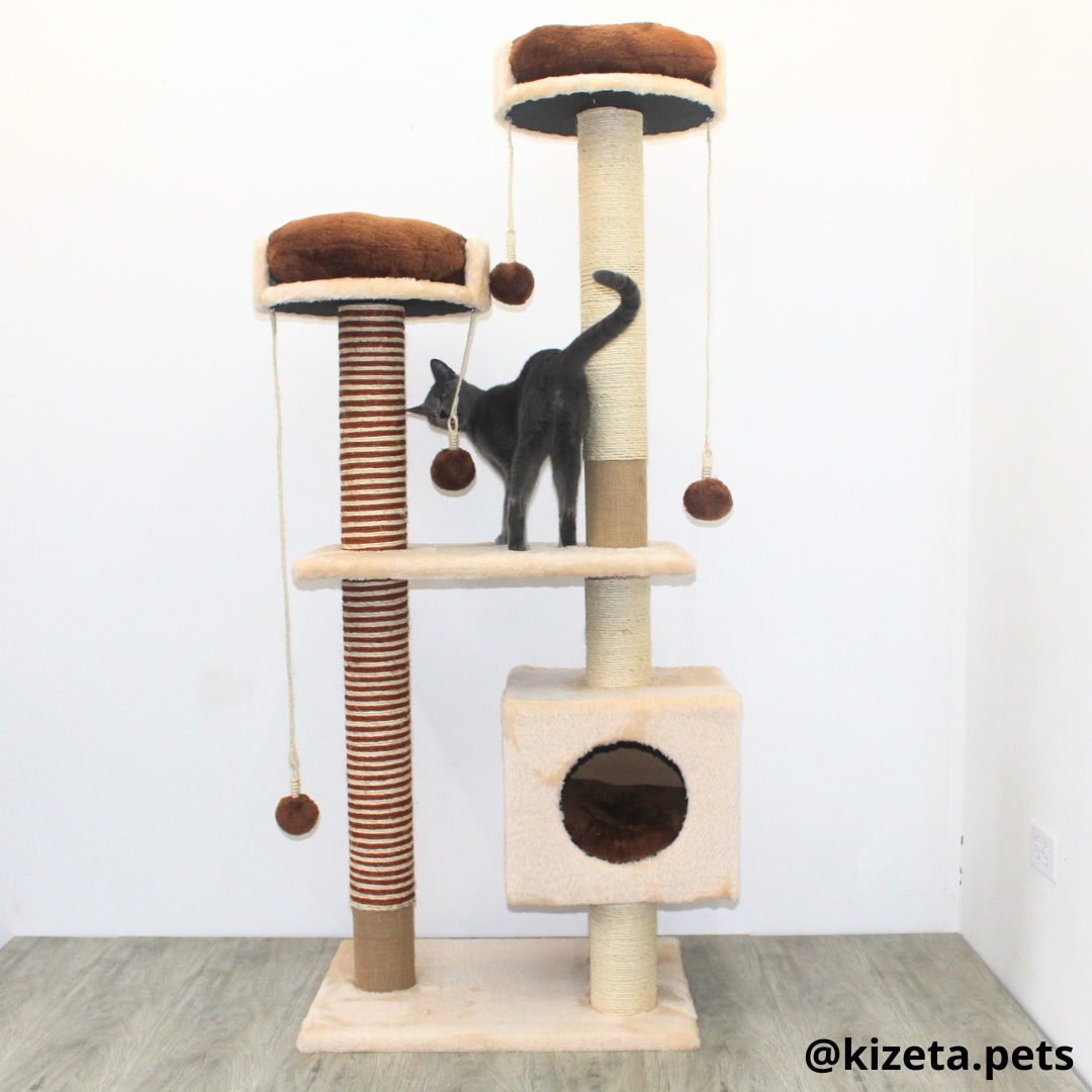 RASCADOR GYM PARA GATO MODELO MÓNACO EXTRAGRANDE 3 CAMAS + 6 TORRES (60x45x156CM)