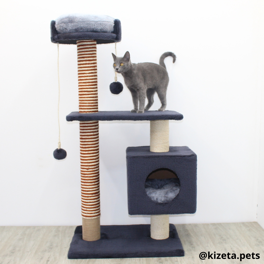 RASCADOR GYM PARA GATO MODELO EDIFICIO 2DA GENERACIÓN CON DOS CAMAS COLOR GRAFITO (60x45x124CM)
