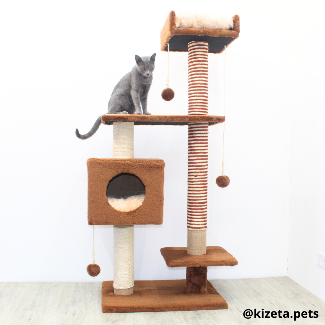 RASCADOR GYM PARA GATO MODELO CHICAGO 2DA GENERACIÓN 2 CAMAS + 5 TORRES COLOR CAFÉ (60x45x145CM)