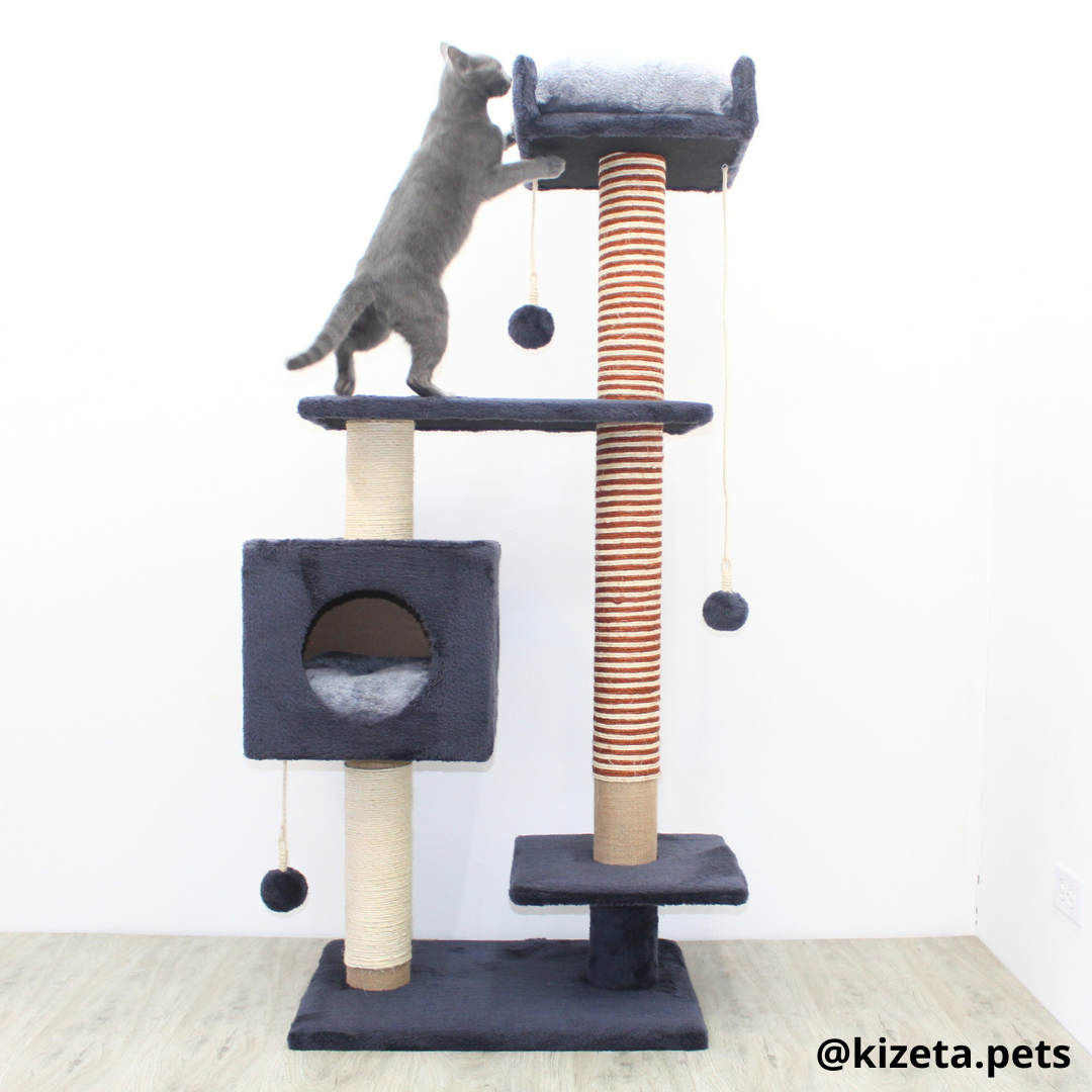 RASCADOR GYM PARA GATO MODELO CHICAGO 2DA GENERACIÓN 2 CAMAS + 5 TORRES COLOR GRAFITO (60x45x145CM)