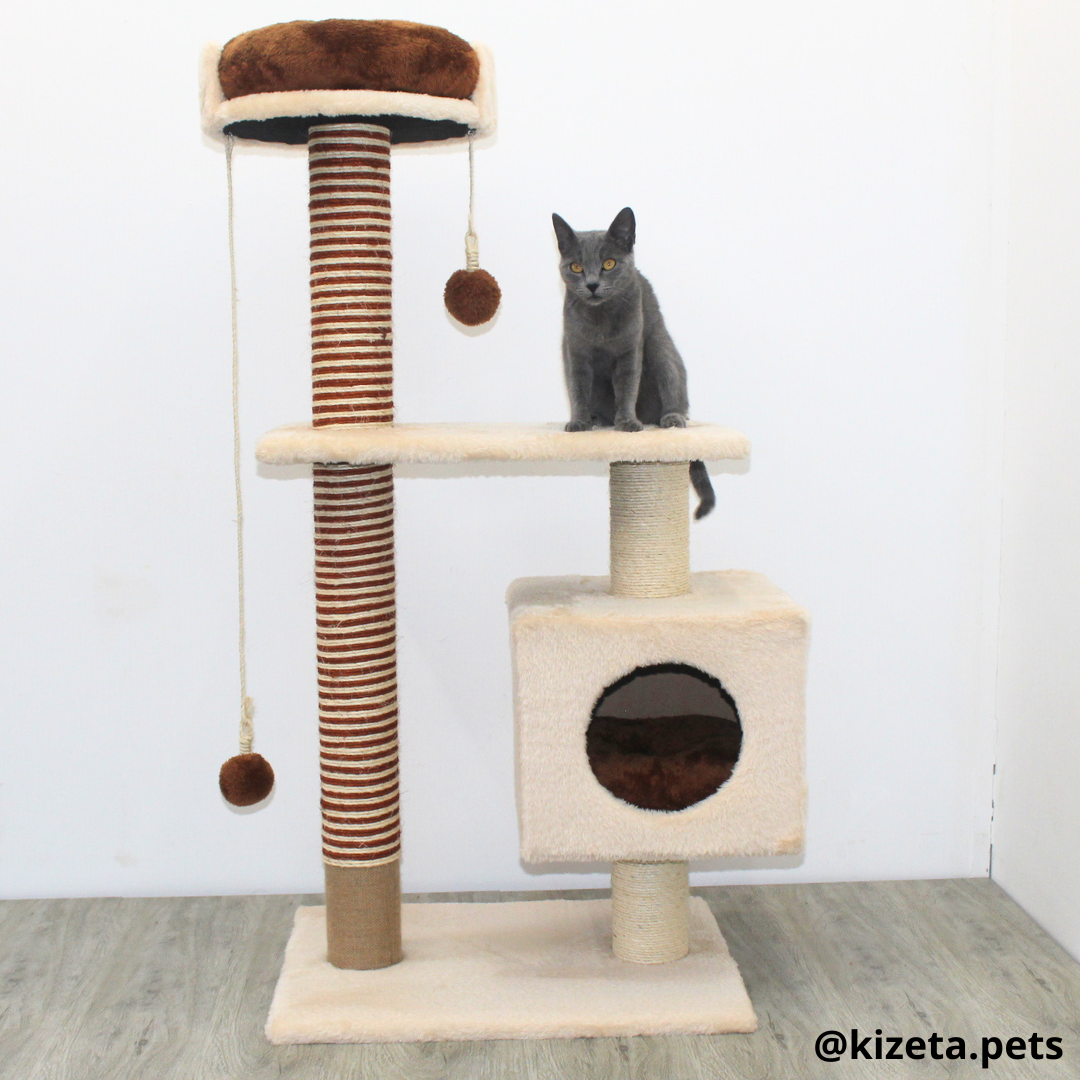 RASCADOR GYM PARA GATO MODELO EDIFICIO 2DA GENERACIÓN CON DOS CAMAS COLOR BEIGE (60x45x124CM)