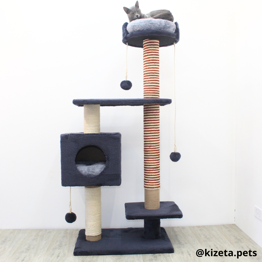 RASCADOR GYM PARA GATO MODELO CHICAGO 2DA GENERACIÓN 2 CAMAS + 5 TORRES (60x45x145CM)