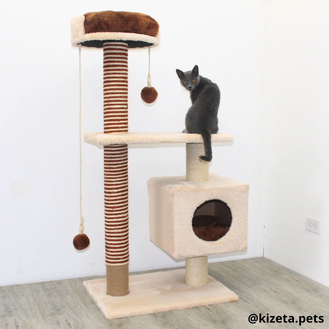RASCADOR GYM PARA GATO MODELO EDIFICIO 2DA GENERACIÓN CON DOS CAMAS COLOR BEIGE (60x45x124CM)