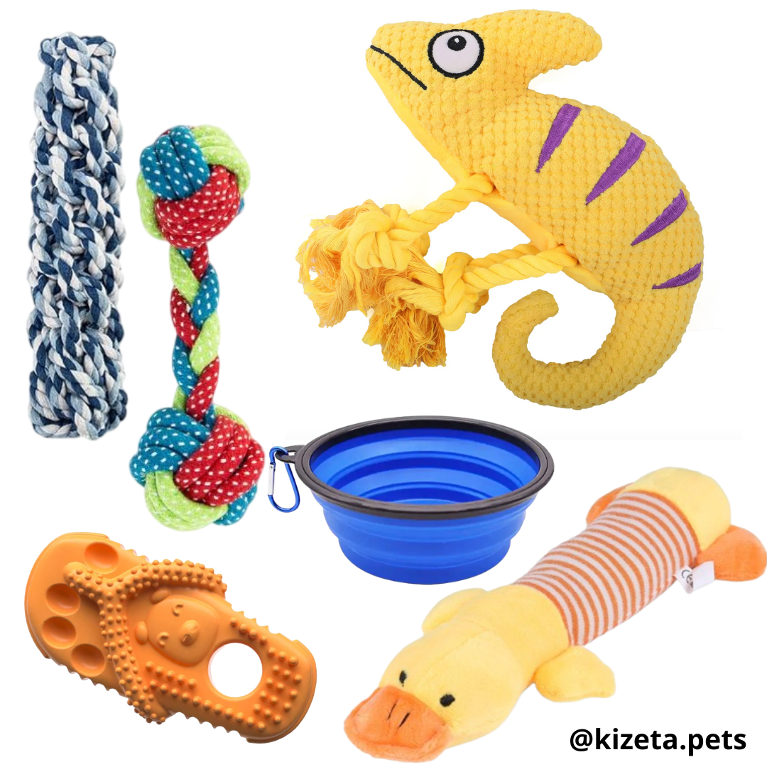 KIT DE 6 JUGUETES (CAMALEÓN 2)