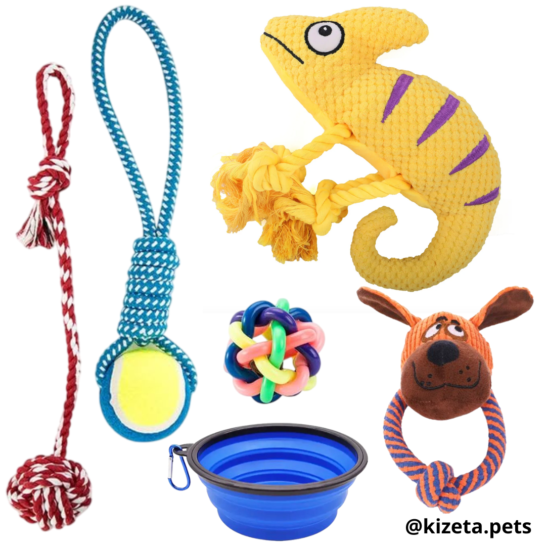 KIT DE 6 JUGUETES (CAMALEÓN 1)