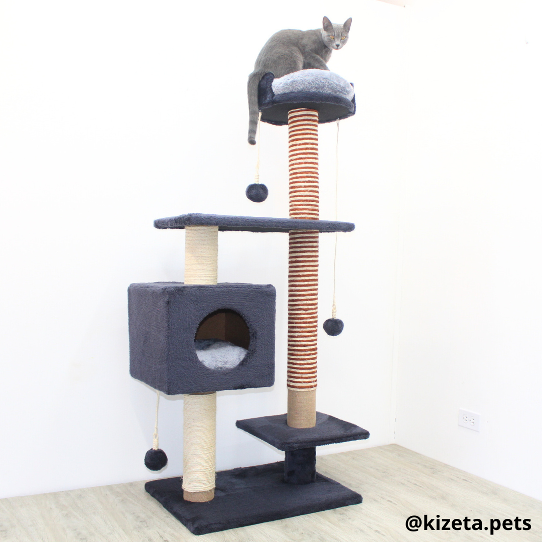 RASCADOR GYM PARA GATO MODELO CHICAGO 2DA GENERACIÓN 2 CAMAS + 5 TORRES (60x45x145CM)