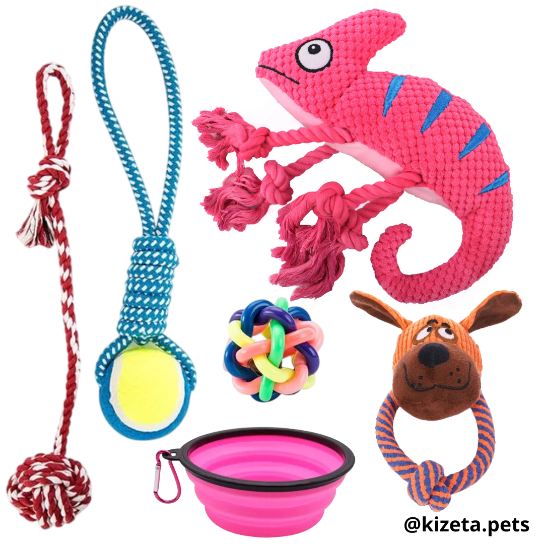 KIT DE 6 JUGUETES (CAMALEÓN 1)