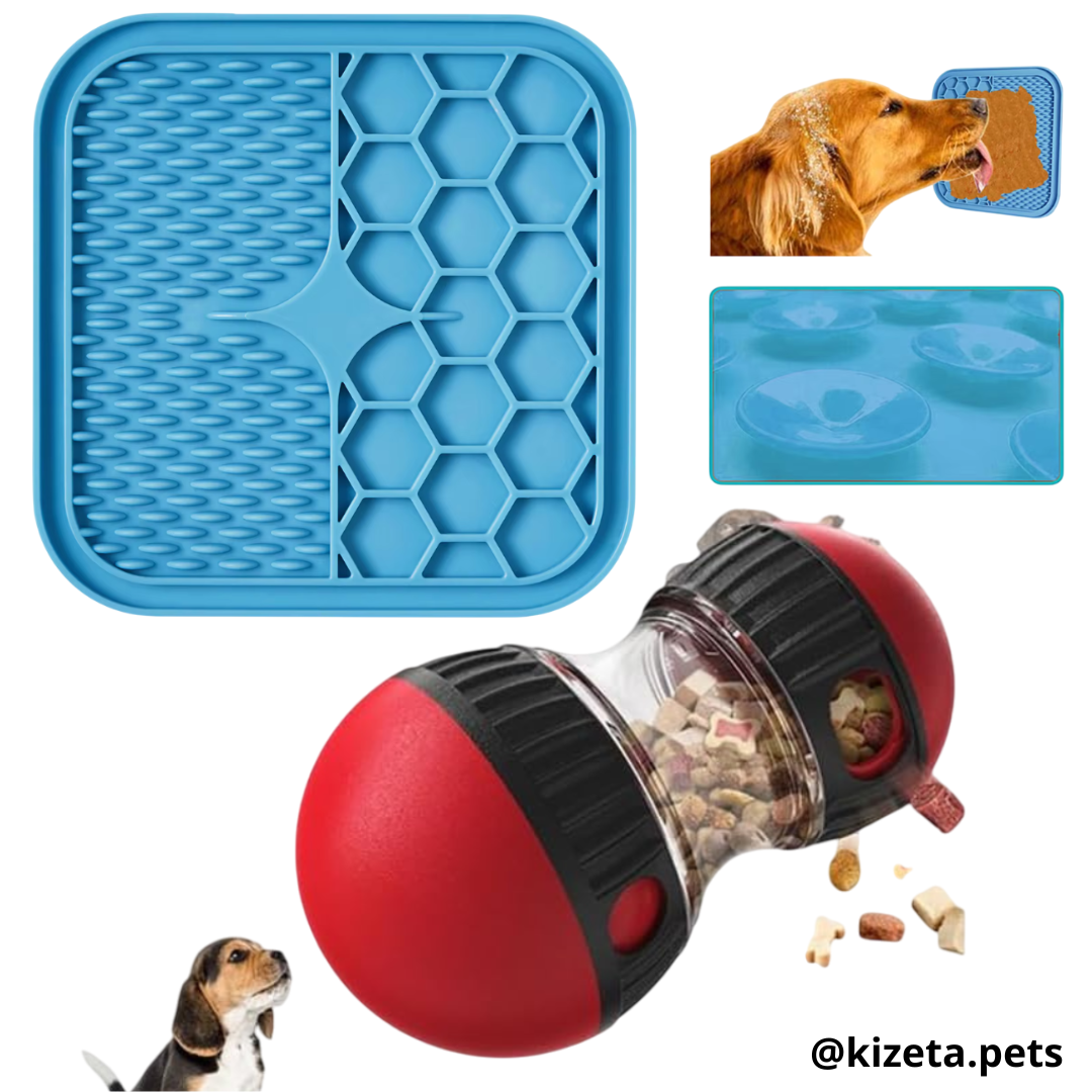 KIT JUGUETES INTERACTIVOS SENCILLOS