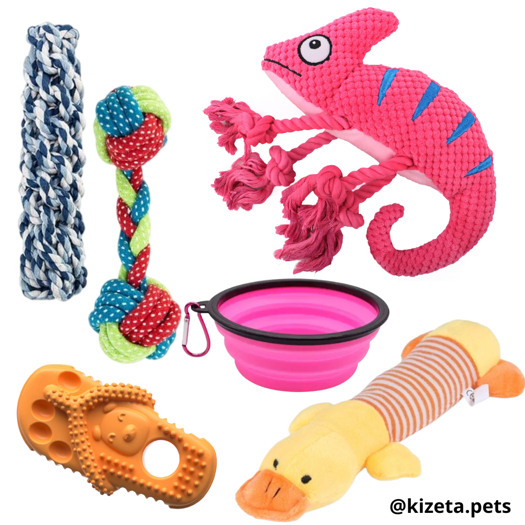 KIT DE 6 JUGUETES (CAMALEÓN 2)