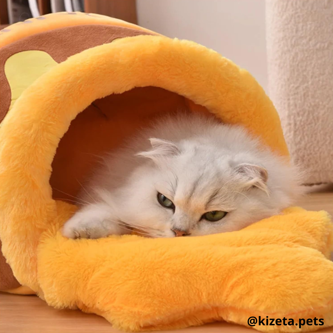 CAMA HONEY PARA GATITO