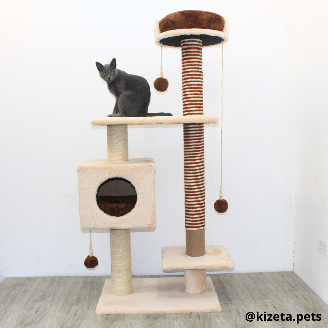 RASCADOR GYM PARA GATO MODELO CHICAGO 2DA GENERACIÓN 2 CAMAS + 5 TORRES COLOR BEIGE (60x45x145CM)