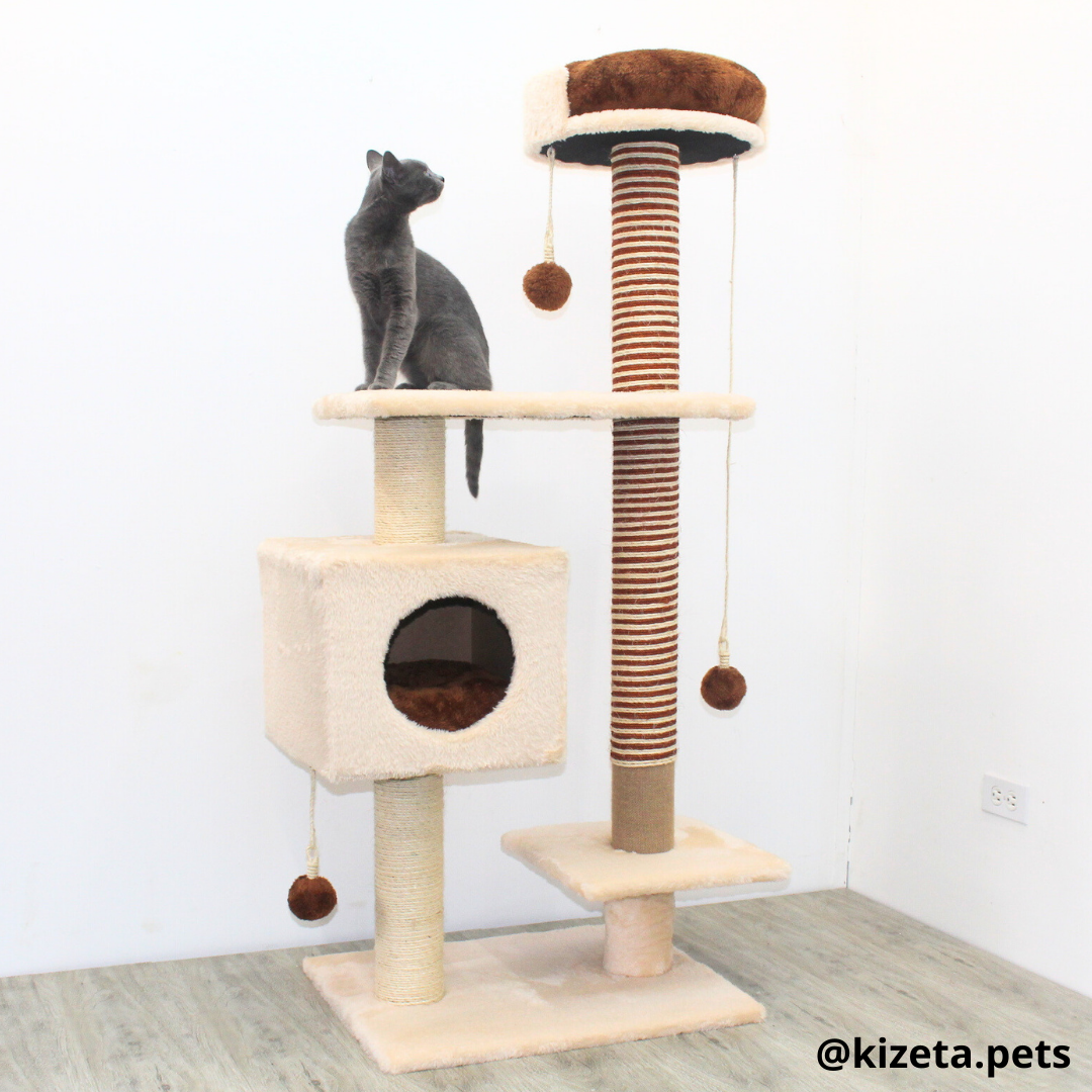 RASCADOR GYM PARA GATO MODELO CHICAGO 2DA GENERACIÓN 2 CAMAS + 5 TORRES COLOR BEIGE (60x45x145CM)