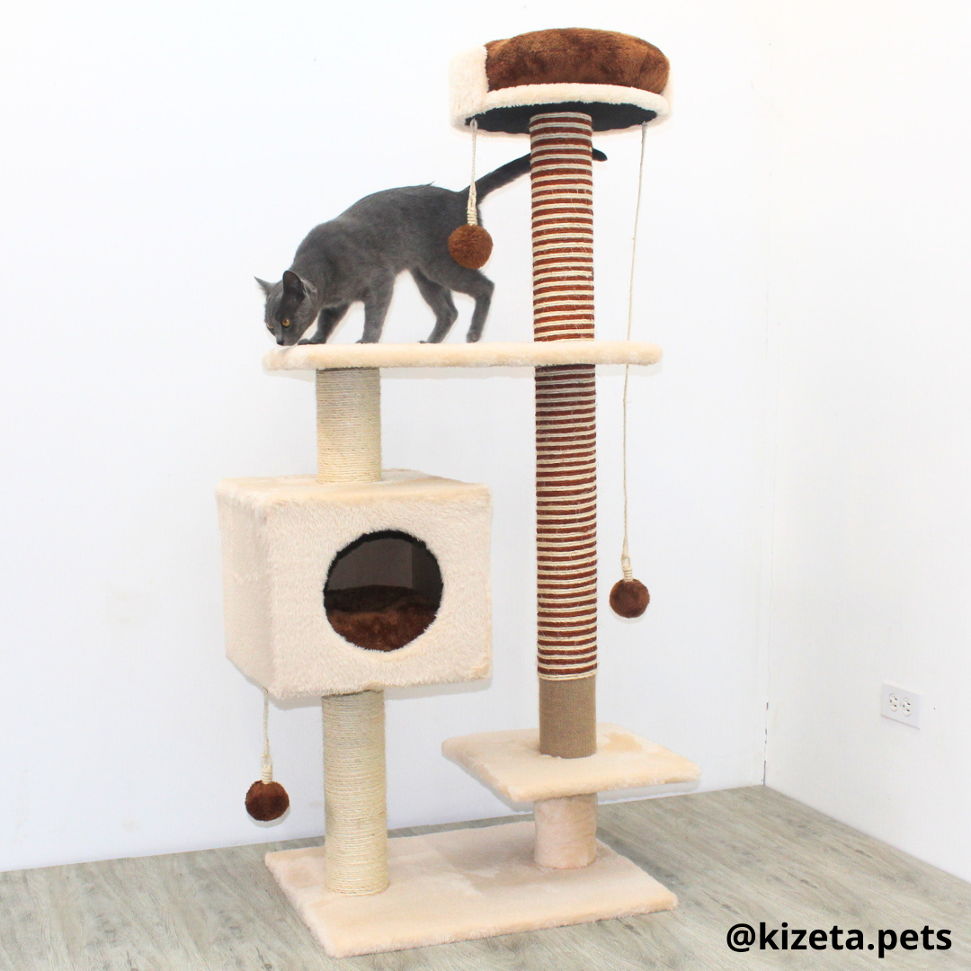 RASCADOR GYM PARA GATO MODELO CHICAGO 2DA GENERACIÓN 2 CAMAS + 5 TORRES COLOR BEIGE (60x45x145CM)