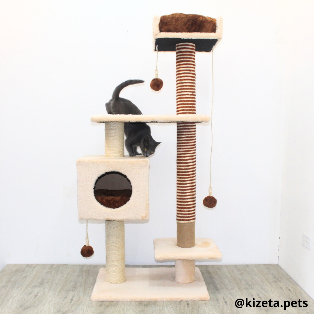 RASCADOR GYM PARA GATO MODELO CHICAGO 2DA GENERACIÓN 2 CAMAS + 5 TORRES COLOR BEIGE (60x45x145CM)