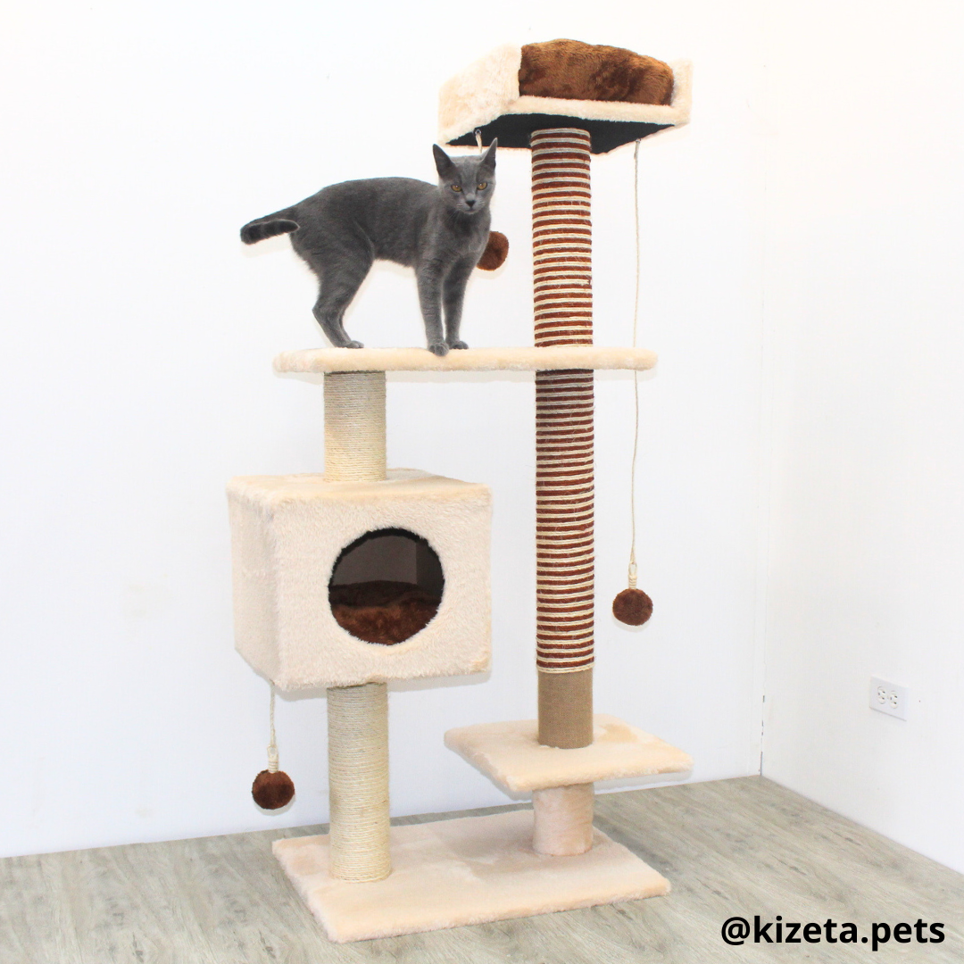 RASCADOR GYM PARA GATO MODELO CHICAGO 2DA GENERACIÓN 2 CAMAS + 5 TORRES COLOR BEIGE (60x45x145CM)