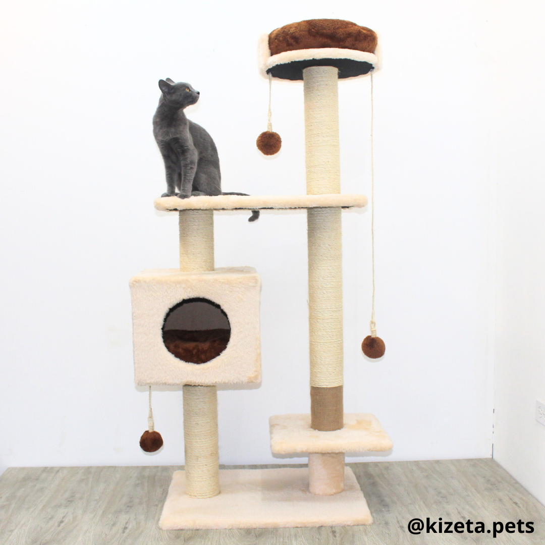 RASCADOR GYM PARA GATO MODELO CHICAGO 2DA GENERACIÓN 2 CAMAS + 5 TORRES COLOR BEIGE (60x45x145CM)