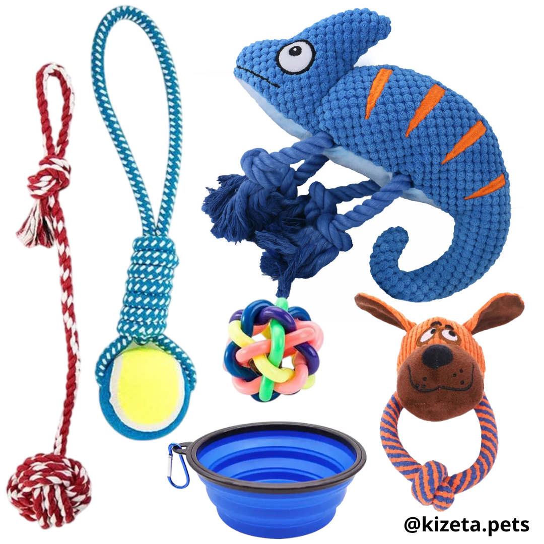 KIT DE 6 JUGUETES (CAMALEÓN 1)