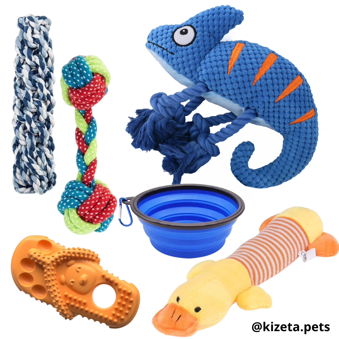 KIT DE 6 JUGUETES (CAMALEÓN 2)