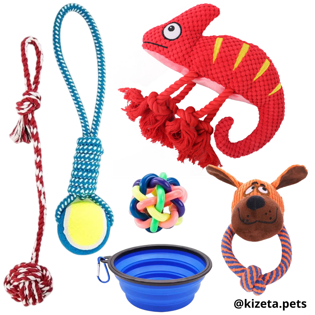 KIT DE 6 JUGUETES (CAMALEÓN 1)