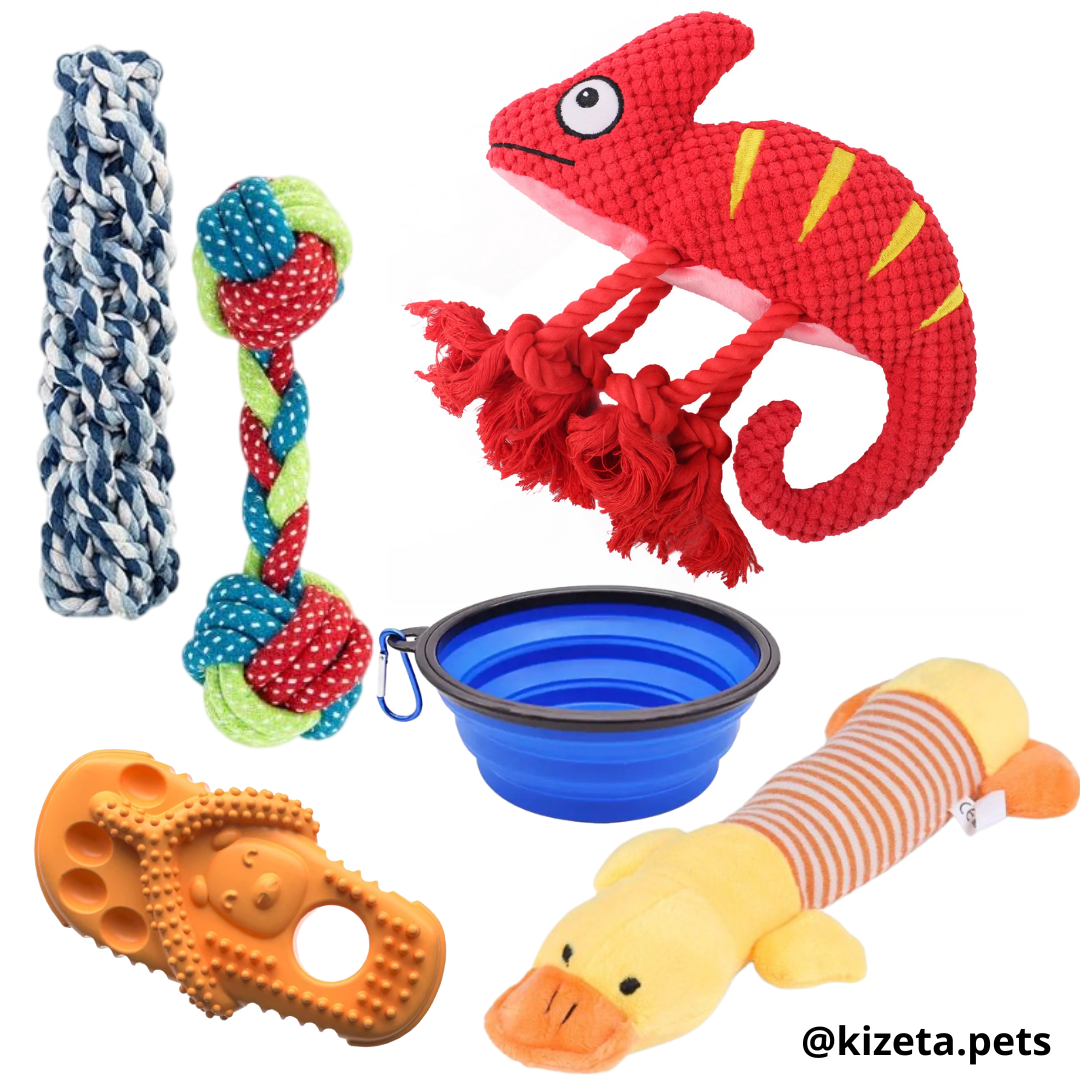 KIT DE 6 JUGUETES (CAMALEÓN 2)