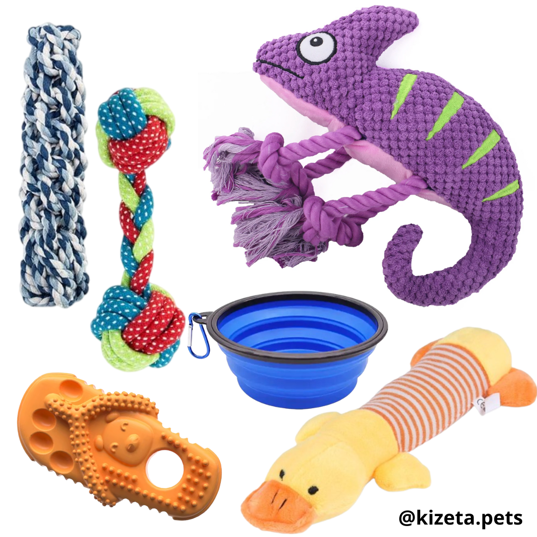 KIT DE 6 JUGUETES (CAMALEÓN 2)